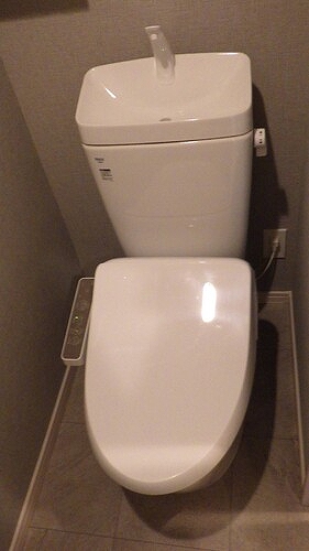 クラリティア池上1階 トイレ　※同タイプ（202号室）の写真