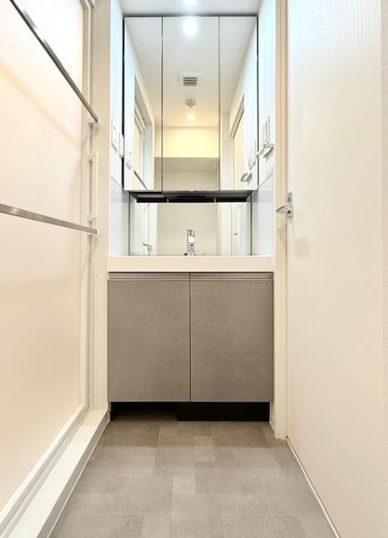 アジールコート町屋14階 洗面