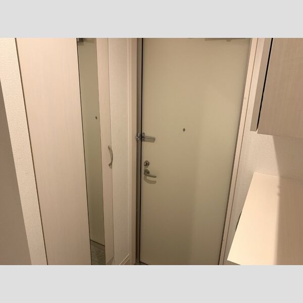 ロイジェントパークス レイクタウン Ⅲ　M 玄関