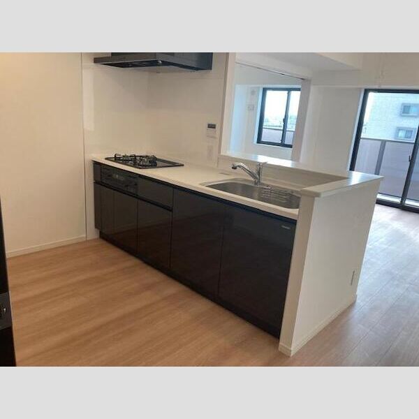 Alivis一之江1001号室 キッチン