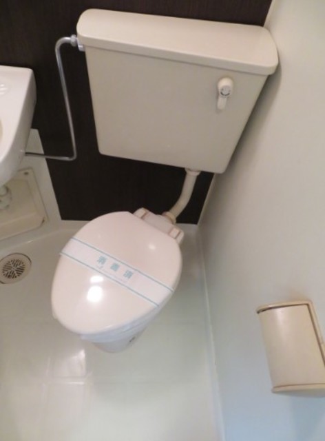 ＳＡＮＫＯ　ＨＥＩＧＨＴＳ　ＯＳＡＫＩ0212号室 トイレ