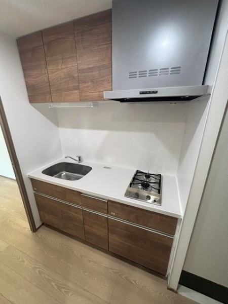 Ｔｈｅ　Ｓｈｉｎａｇａｗａ　Ｅａｓｔ　Ｒｅｓｉｄｅｎｃｅ キッチン