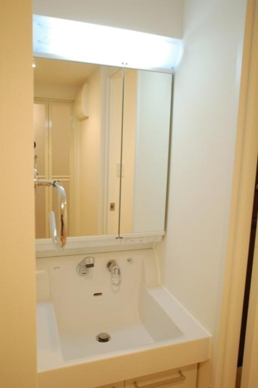 ステージグランデ蒲田 洗面