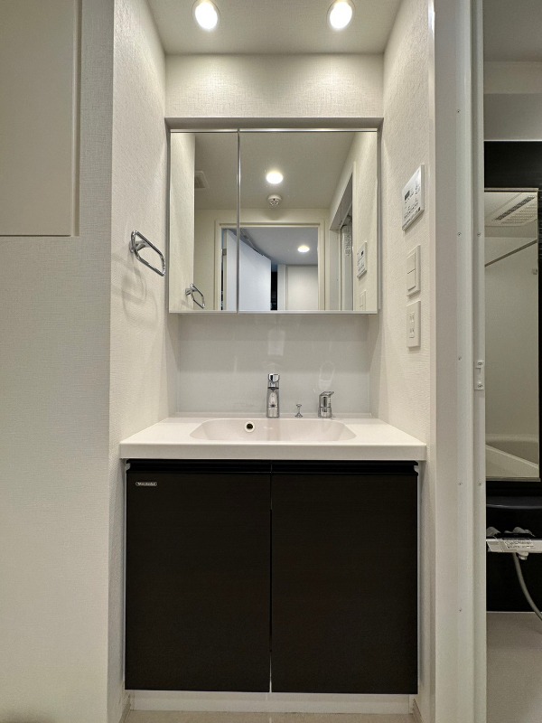 TFレジデンス川崎殿町WEST3階 洗面