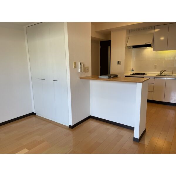 スパシエルクス西川口405号室 部屋その他