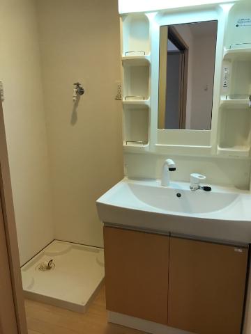 ラ・ヴィスタ墨田102号室 室内洗濯機置場