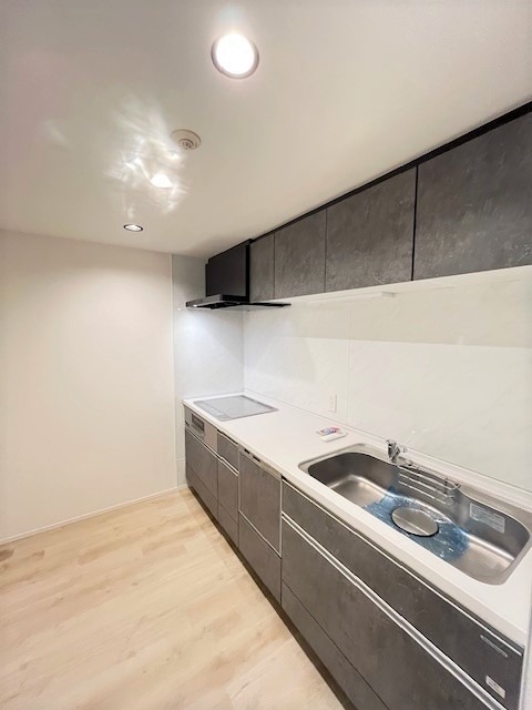 レジディア池袋3階 同建物別部屋の参考画像