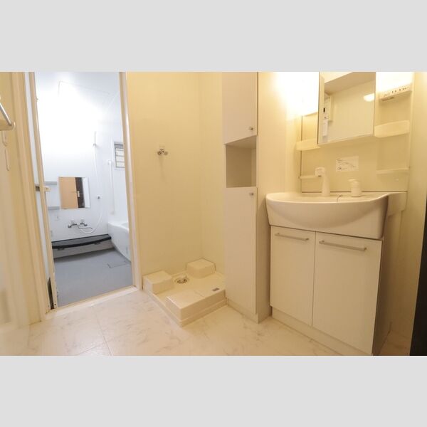 ビーノ　Ⅱ102号室 洗面所