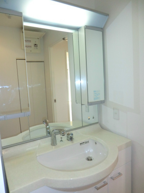 アイビーテラス602号室 洗面