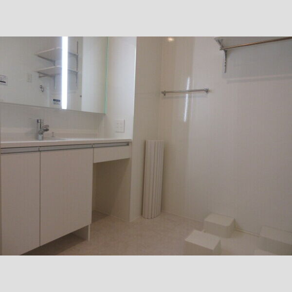 蒼の杜　空106号室 ドレッサータイプの洗面台