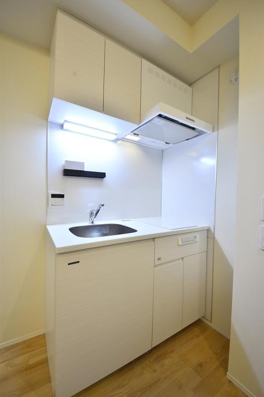 ソシガヤテラスS1階 トイレ