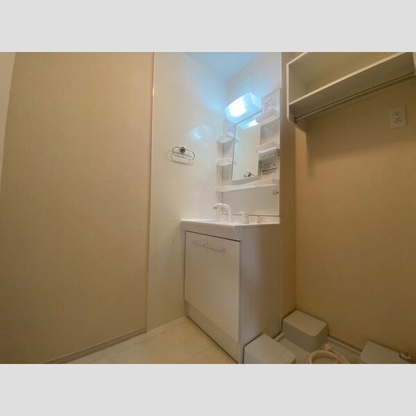 アムール東向島301号室 洗面