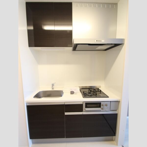 プレシャス富士見306号室 システムキッチン