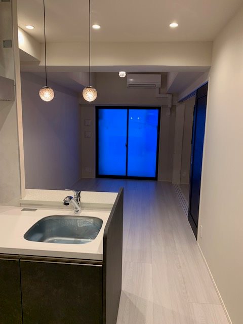 セヴェランス錦糸町3階 部屋その他