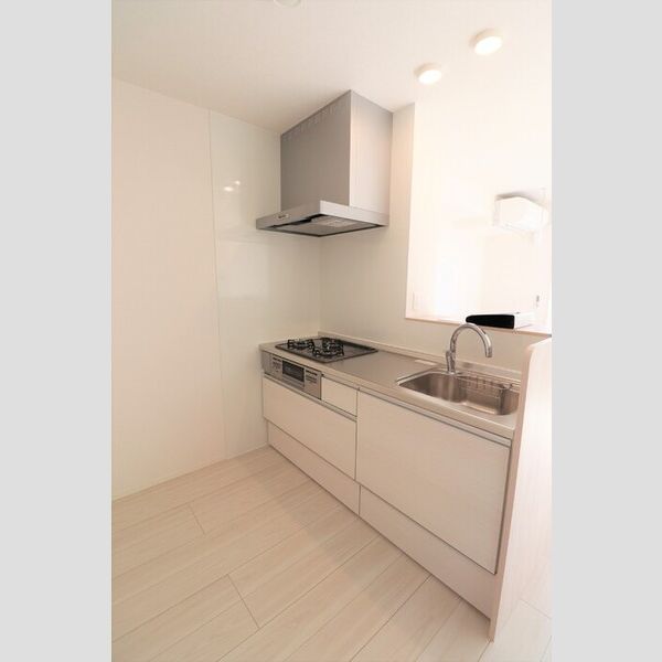 D Paina 鴨居301号室 キッチン　3口コンログリル付