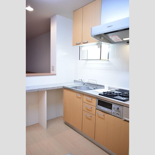 エバーグリーンガーデン　B103号室 システムキッチン