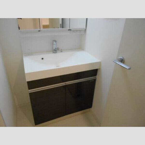 ロイジェント新橋0503号室 洗面