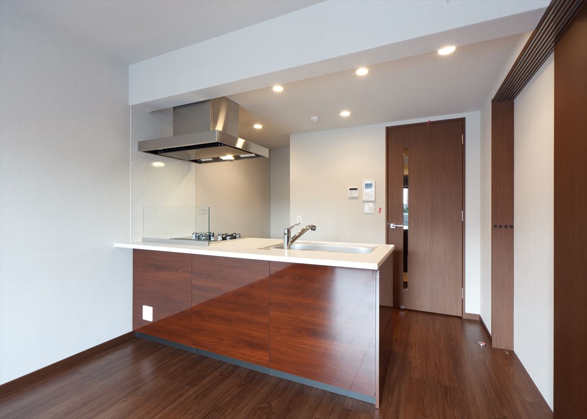 DIPS南六郷208号室 リビング