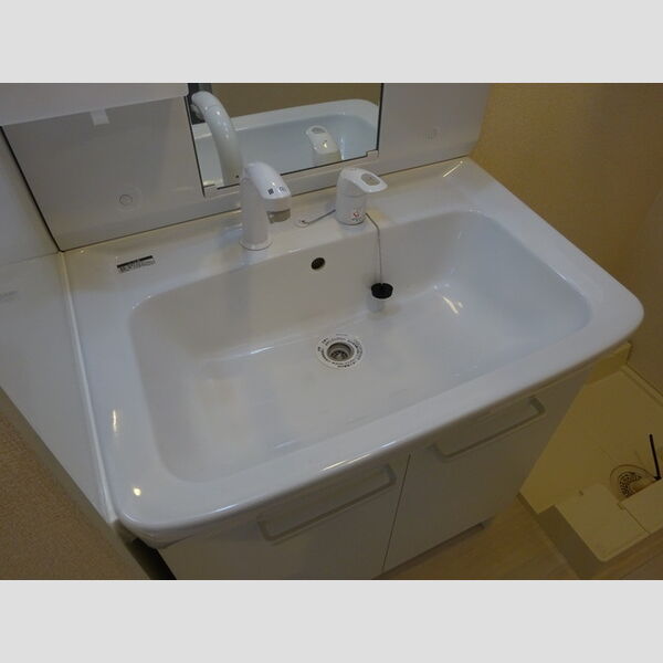 プロシード志木幸町303号室 洗面