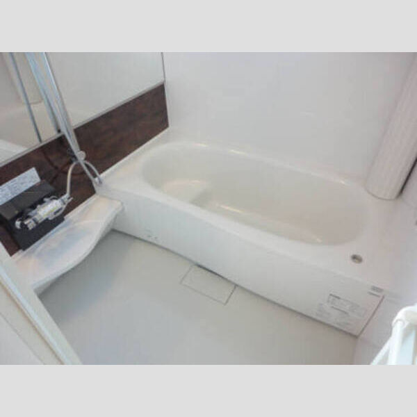 エコハウスⅡ303号室 浴室