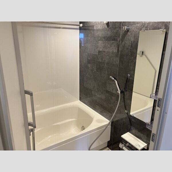 THE RejuvePort KISARAZU0504号室 浴室