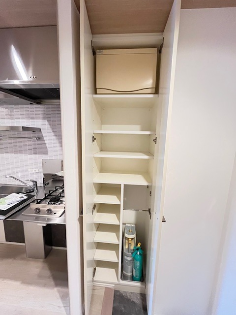 レジディア新宿御苑4階 収納