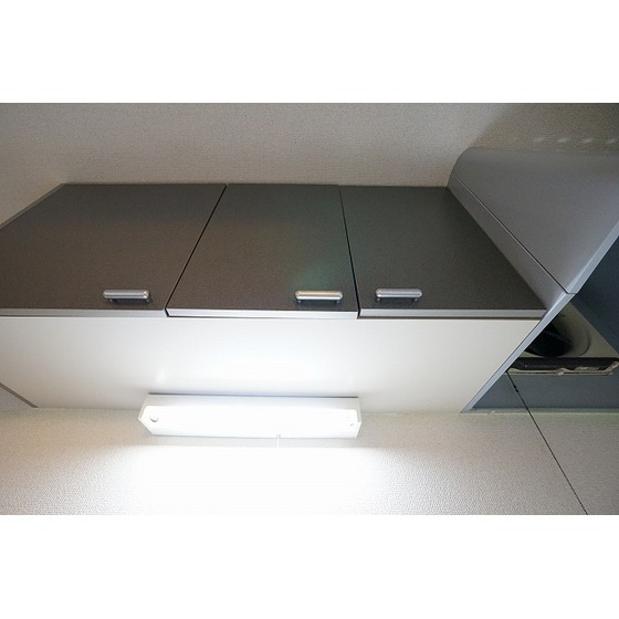 カーサグリス0102号室 キッチン上収納