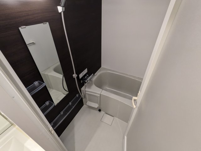 ケーディーエックスレジデンス豊洲616号室 お風呂