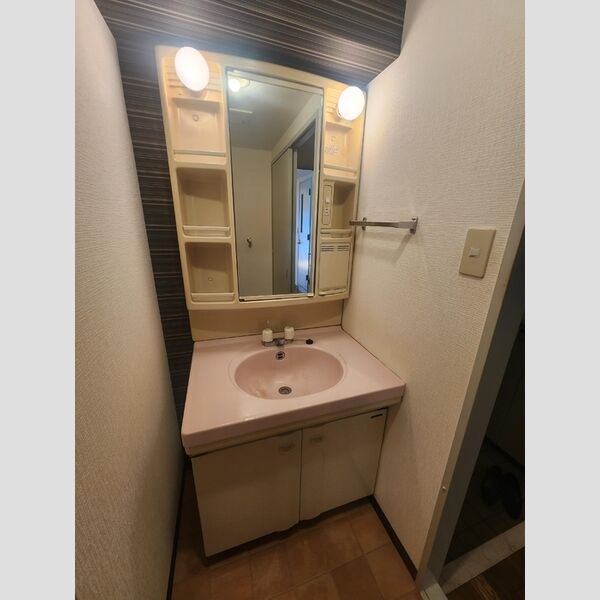 フジヴェール法蓮寺山203号室 洗面所