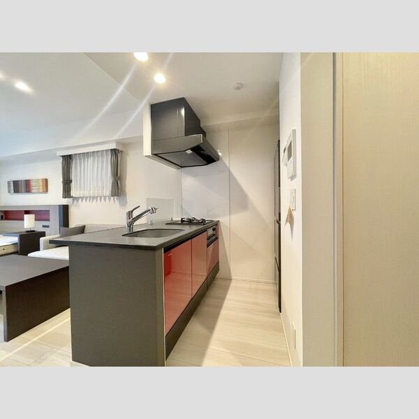 ロイジェントパークス四ツ谷905号室 キッチン