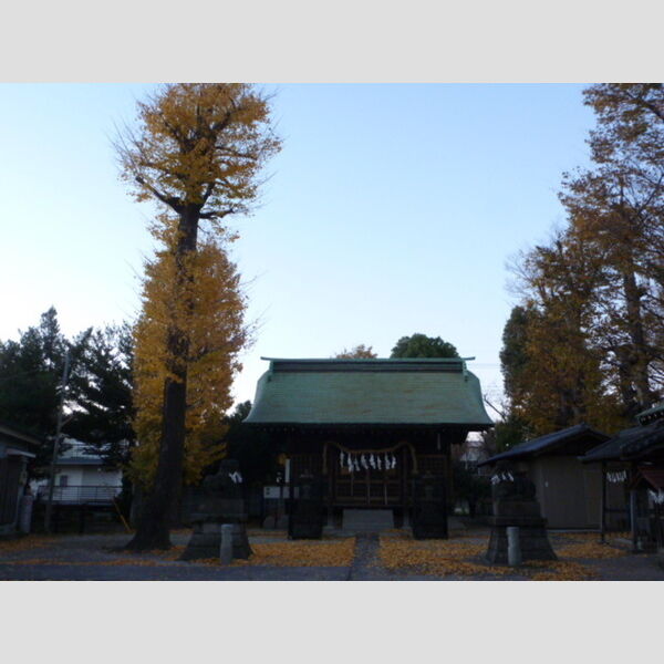 エスベランサ　B105号室 氷川神社