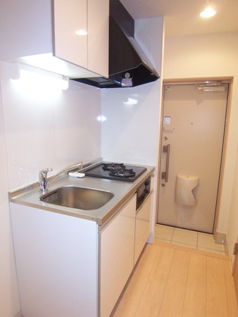 メゾン・ブルー5号室 玄関