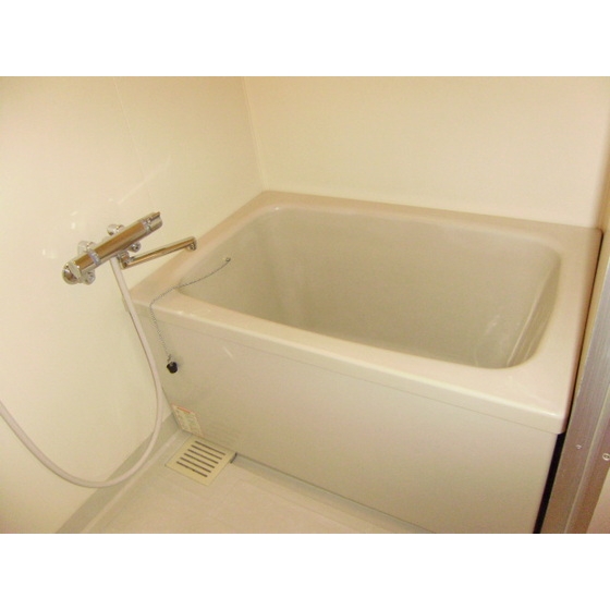 ソシアグリーンオーク401号室 内観