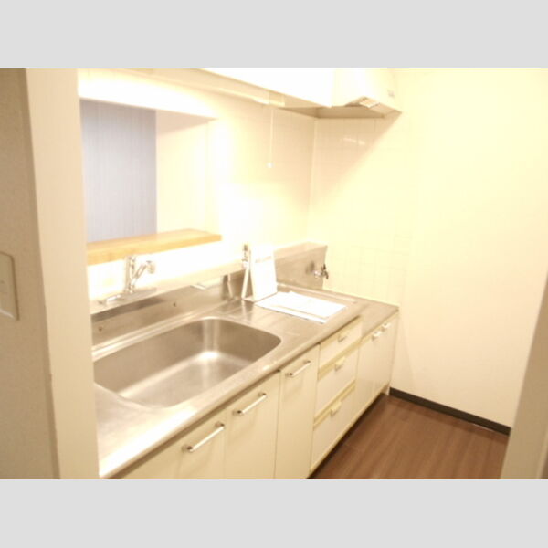 Bellevue壱番館205号室 キッチン