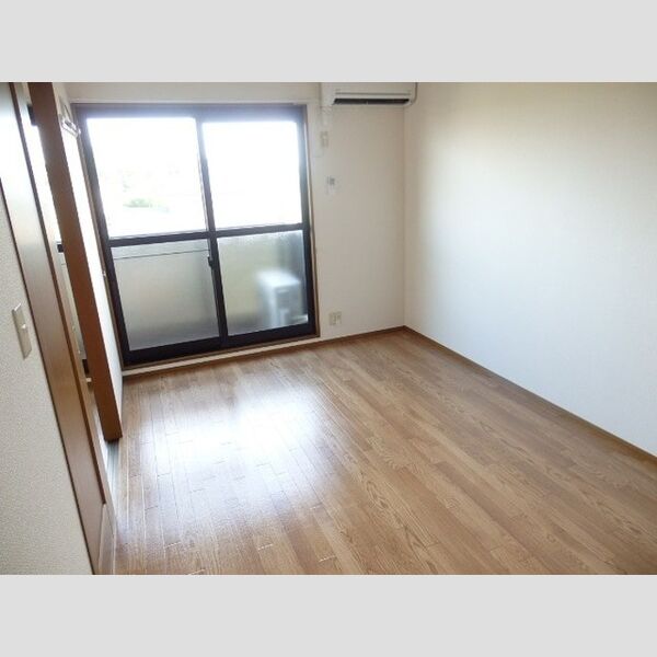 リビングタウン松ヶ島　B305号室 洋室