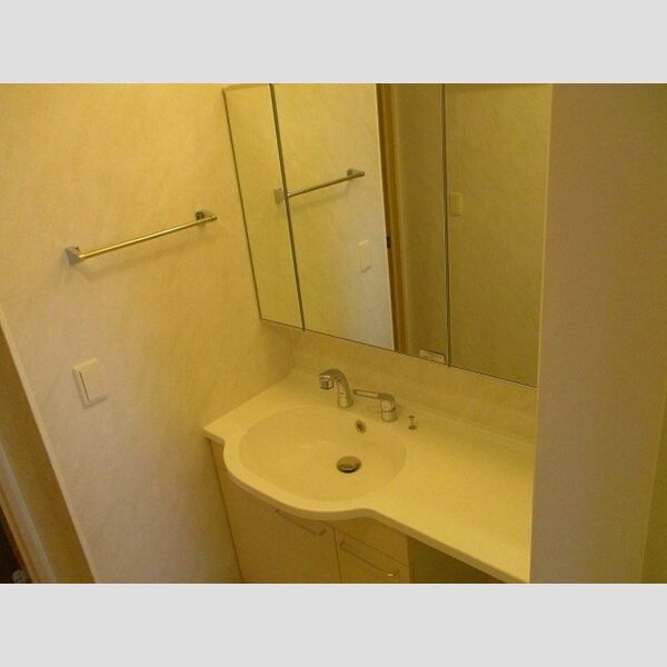 リバーサイド・レジデンス201号室 洗髪洗面化粧台　(鏡面裏に収納棚が付いております)