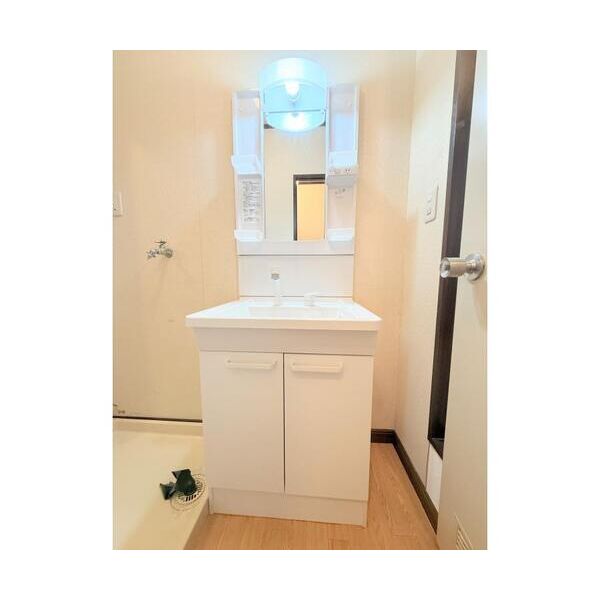 グレープズヒルD101号室 洗面