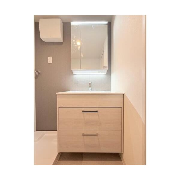 VISTA　MINAMIDAI101号室 洗面