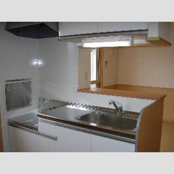 グランディハイツ　Ⅰ・ⅡⅠ201号室 キッチン