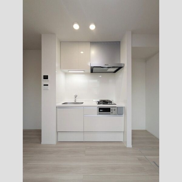 D-asset中原101号室 キッチン