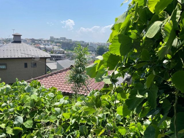 高石戸建 高台の絶景ビューと夕焼けが楽しめます