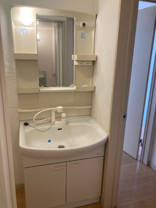 DUPLEX foliar Ⅱ 洗面