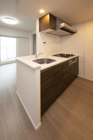 リビオメゾン南砂町1406号室 キッチン