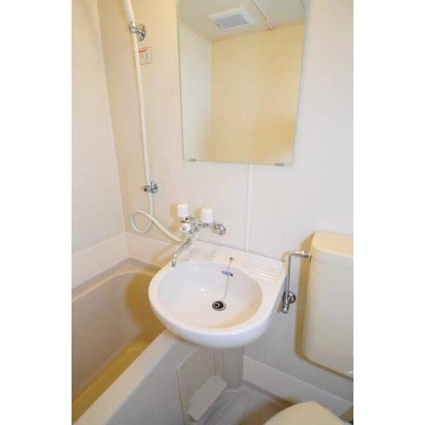 メゾン・ド・ロワジール 洗面