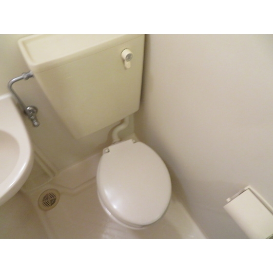 カーサグリスメイユー0204号室 内観