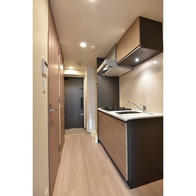 SS.FLAT北品川0203号室 玄関