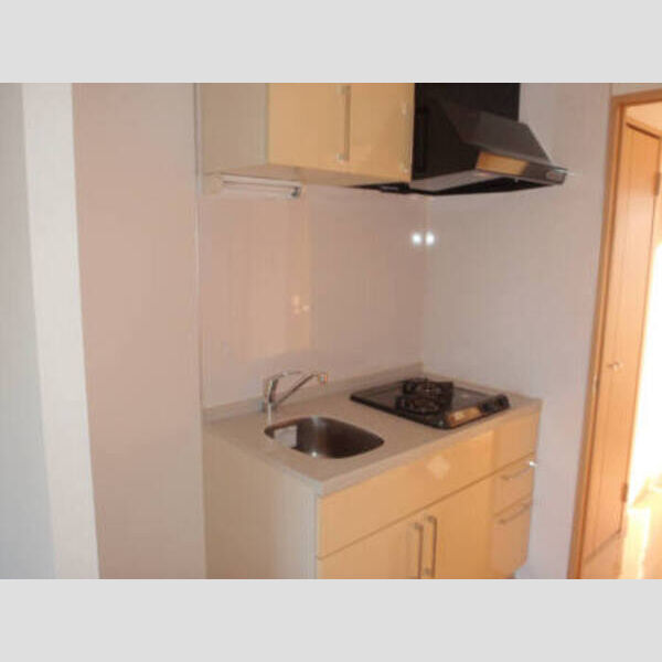 登戸N・Tステージ402号室 登戸N・Tステージ キッチン