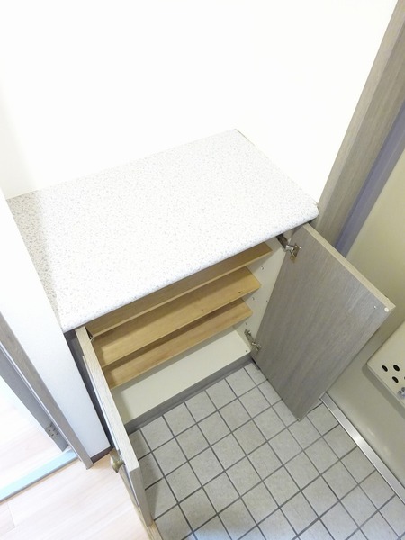 ライオンズマンション高島平 収納