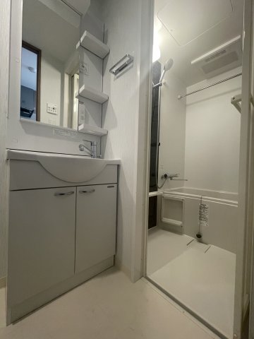 エヌステージ秦野駅前1008号室 洗面