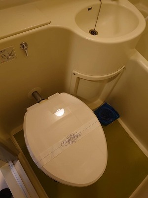 ライオンズマンション平河町K トイレ